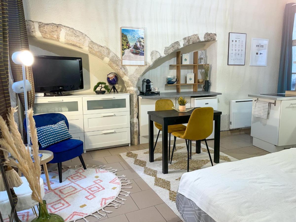 Charme & Calme A 200M Du Chateau Μπλουά Εξωτερικό φωτογραφία